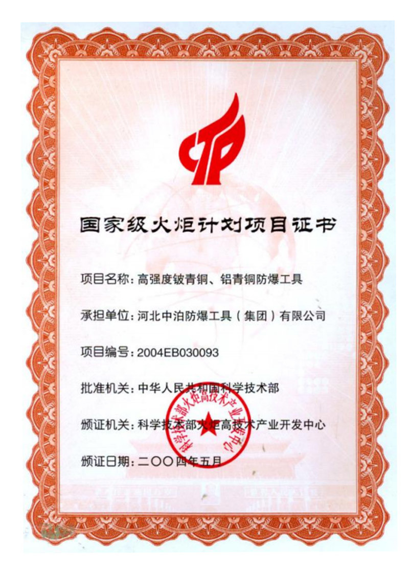 Certificado del proyecto del programa de la antorcha
