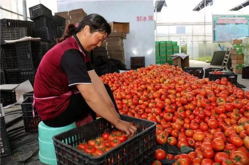 我為群眾辦實事 | 遵義：助力花茂村“舊貌”換“新顏”