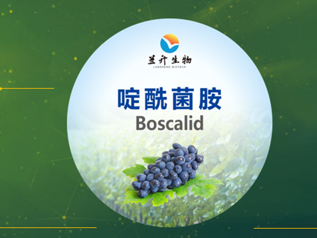 啶酰菌胺