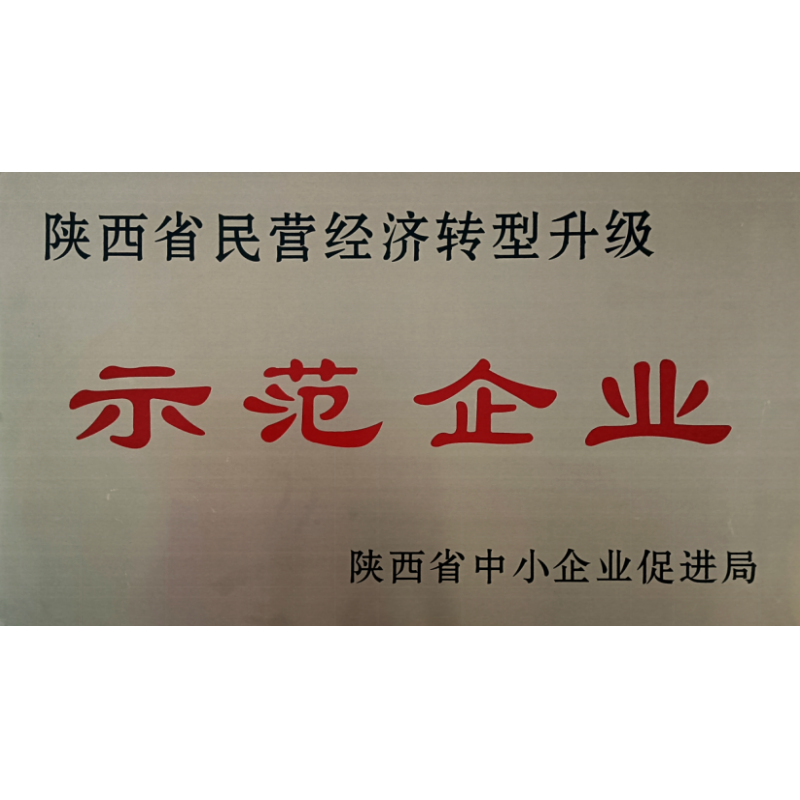 陜西省民營經濟轉型升級示范企業(yè)