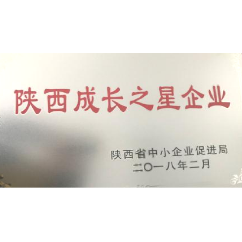 Shaanxi Growth Star Enterprise Shaanxi Growth Star Enterprise