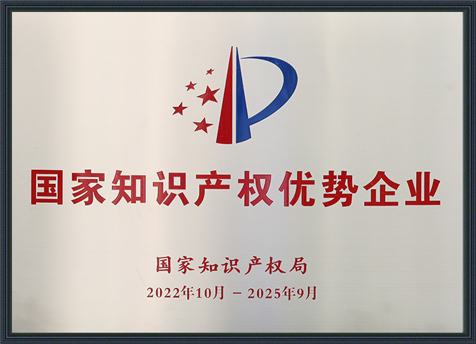 2022 National Intellectual Property Advantage Enterprise