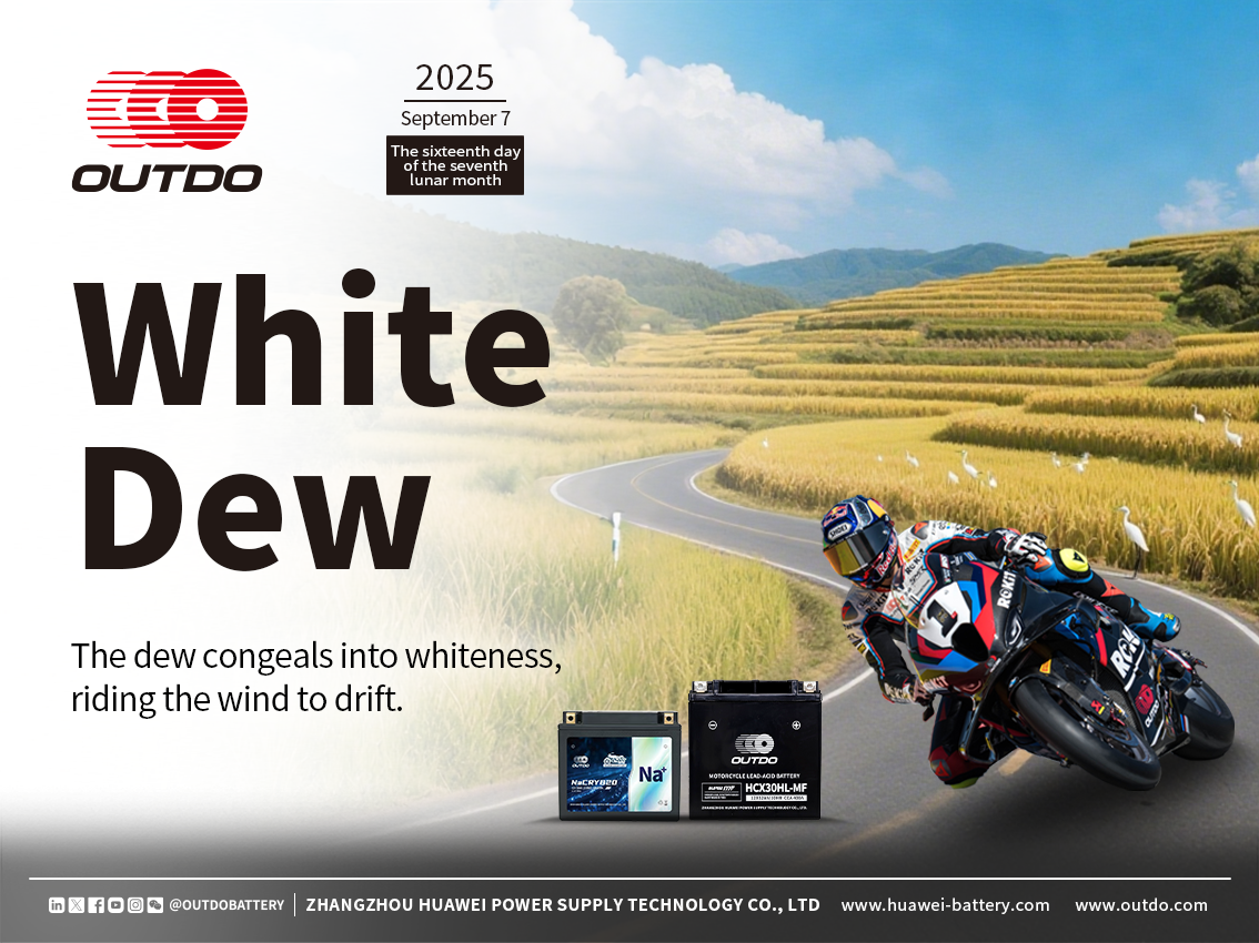 White Dew丨The dew congeals to white and drifts on the wind.