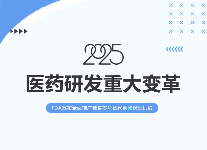 历史见证！FDA重磅新规，宣布全面推广器官芯片替代动物模型试验