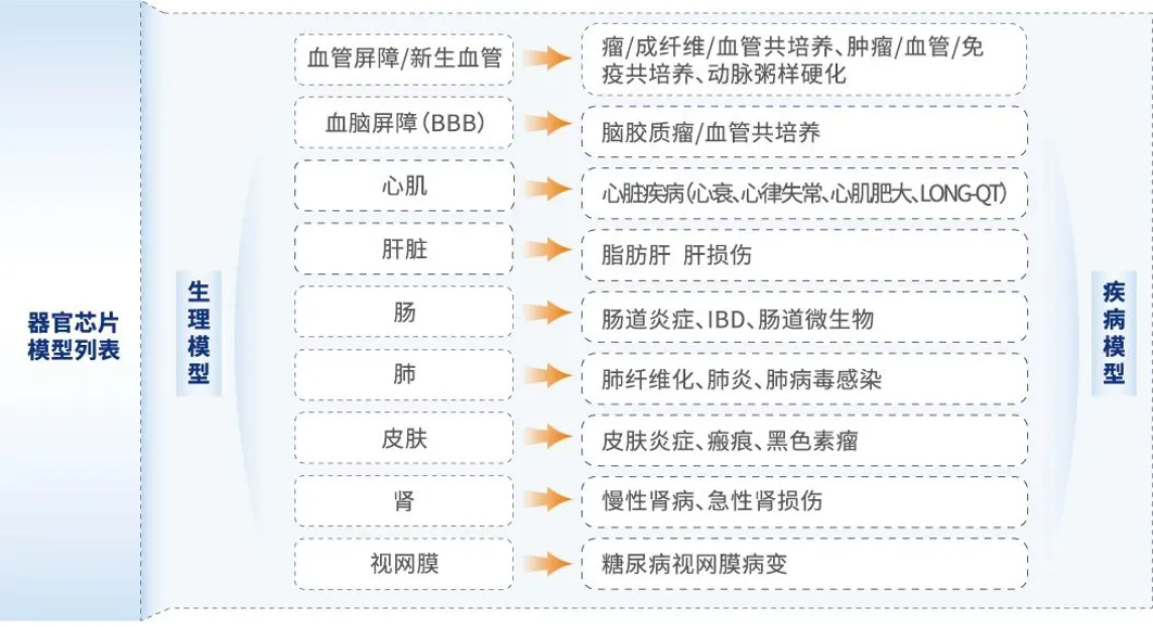 破除“动物方法偏见”，科研创新亟待方法论革新