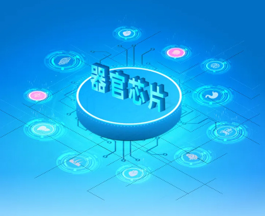 器官芯片：毒理学研究的“游戏规则改变者”