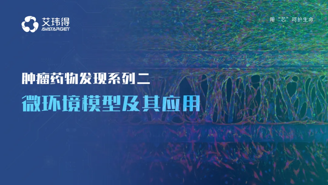 构建全方位肿瘤模型，破解肿瘤药物发现难题·系列二
