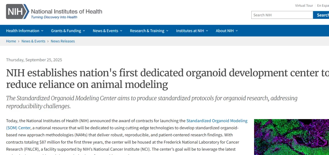 重磅！NIH 设立全美首个标准化类器官建模中心，以减少对动物建模的依赖