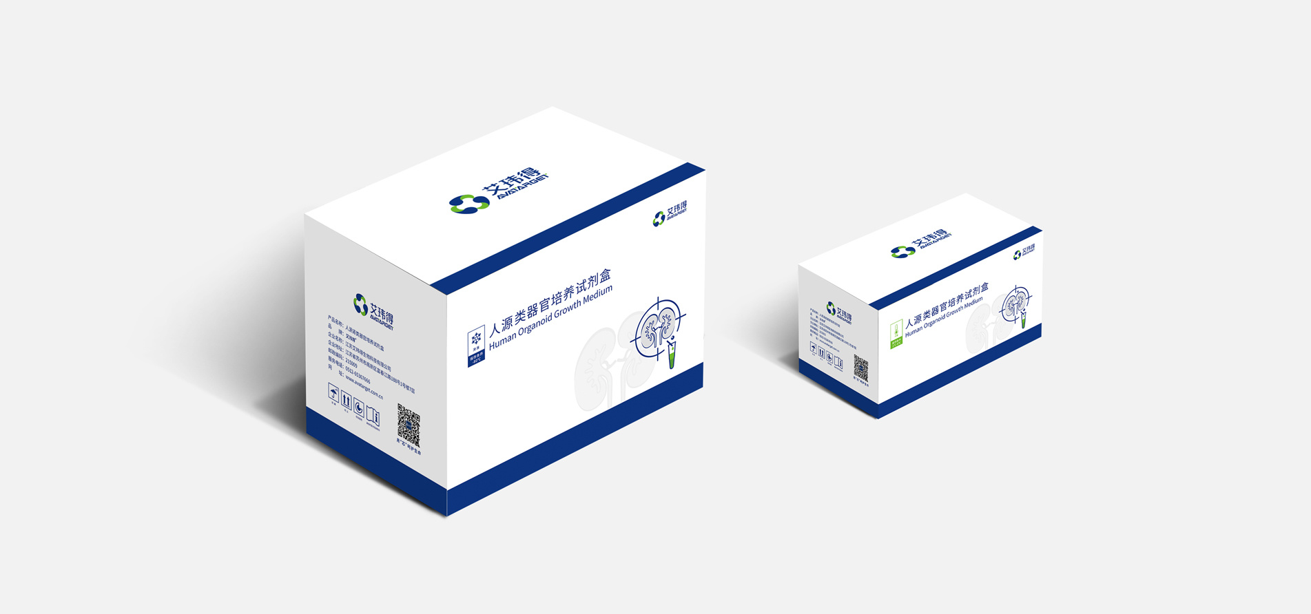 Human-derived organoid Growth Medium Human-derived organoid Growth Medium