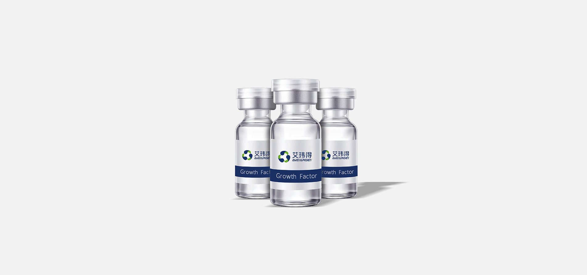 Organoid Growth Relation Reagents Organoid Growth Relation Reagents