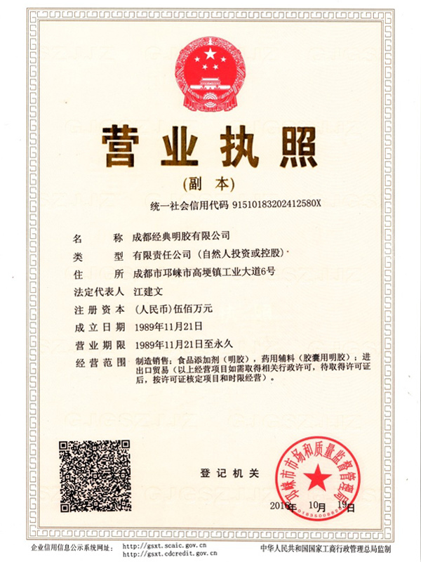 Business License (copy) Business License (copy)