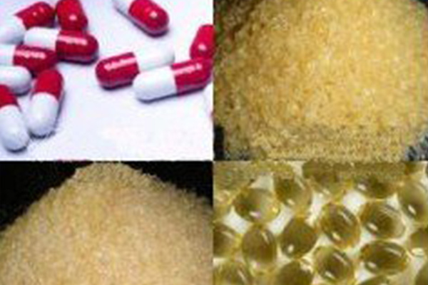 Edible Gelatin Edible Gelatin