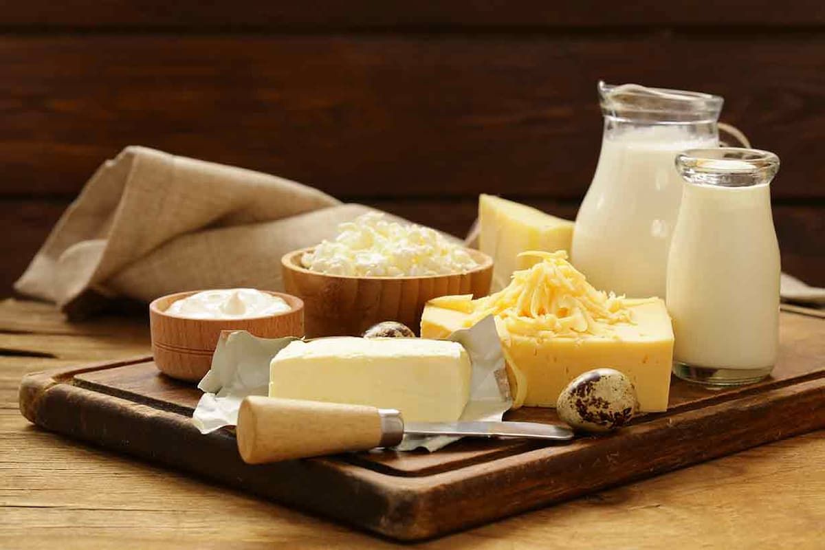 Gelatin for dairy products