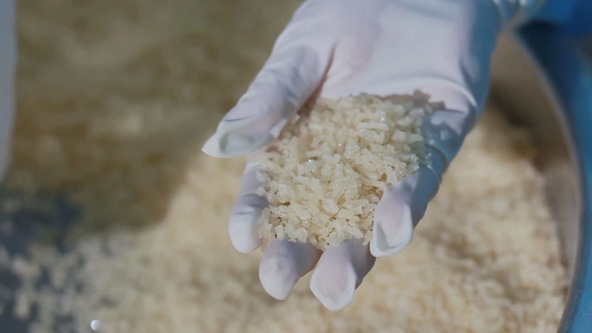 CELEBRATING 38 YEARS OF EXCELLENCE IN GELATIN PRODUCTION