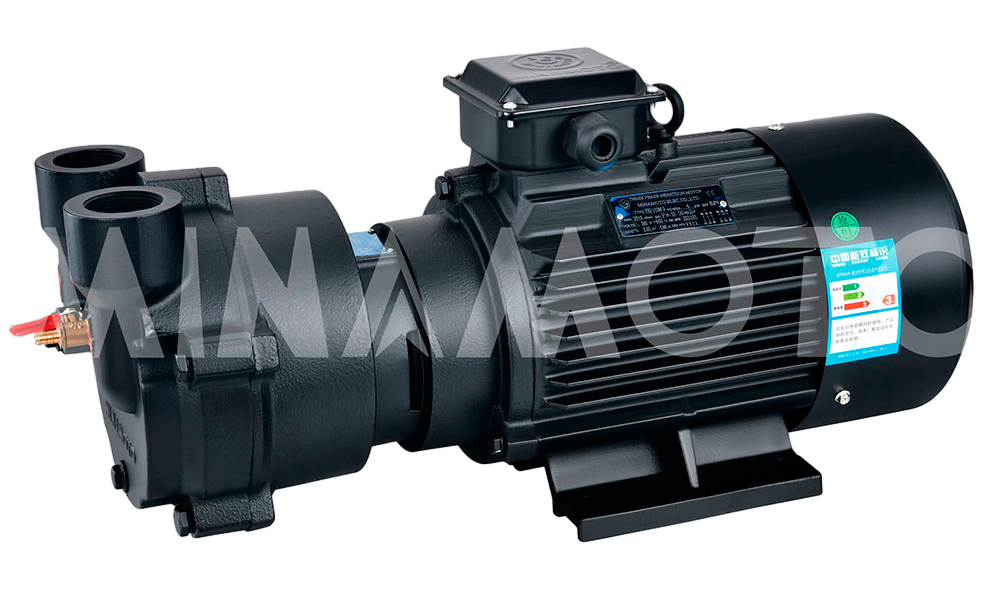 SBV Water Ring Vacuum Pump