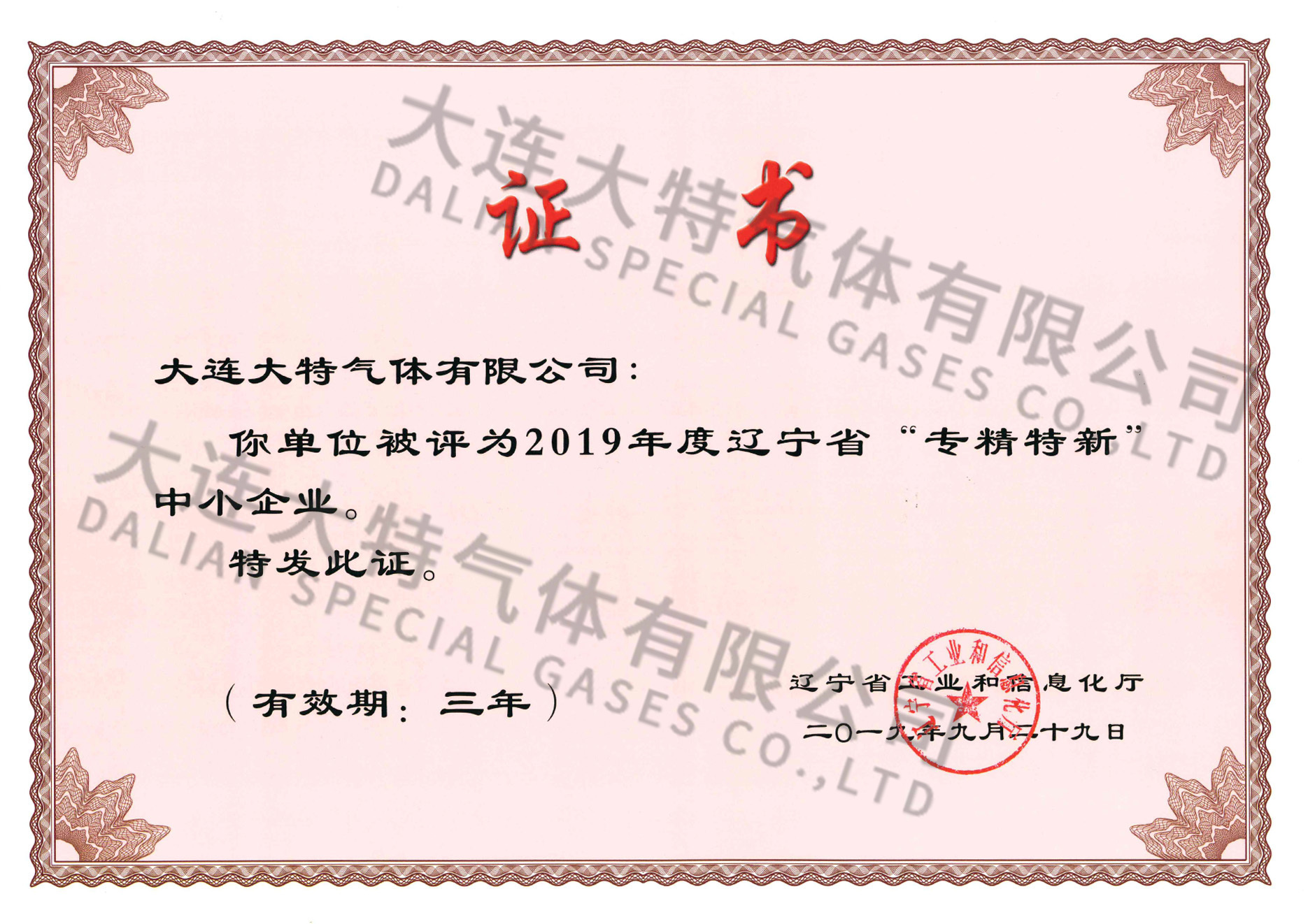 2019专精特新中小企业