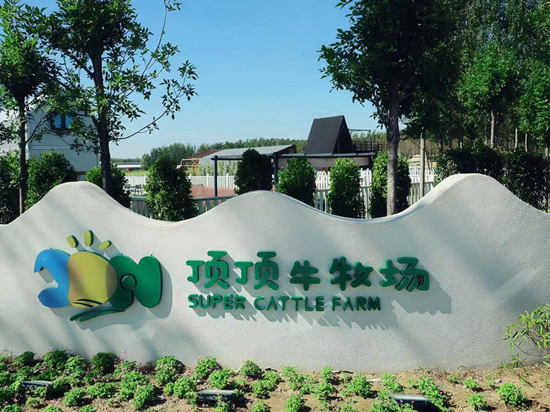 河南顶顶牛教育科技有限公司