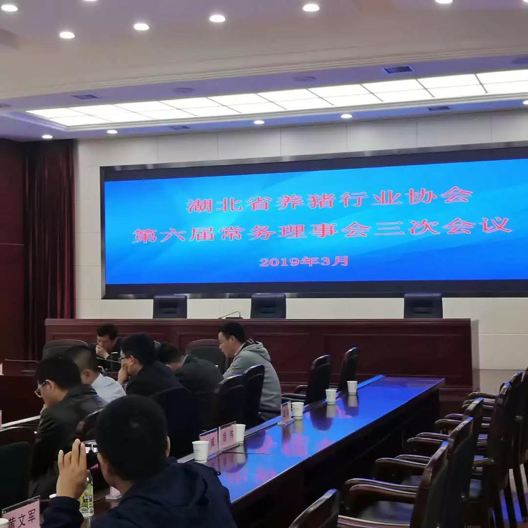 金旭农发参加第六届湖北省养猪行业协会常务理事会