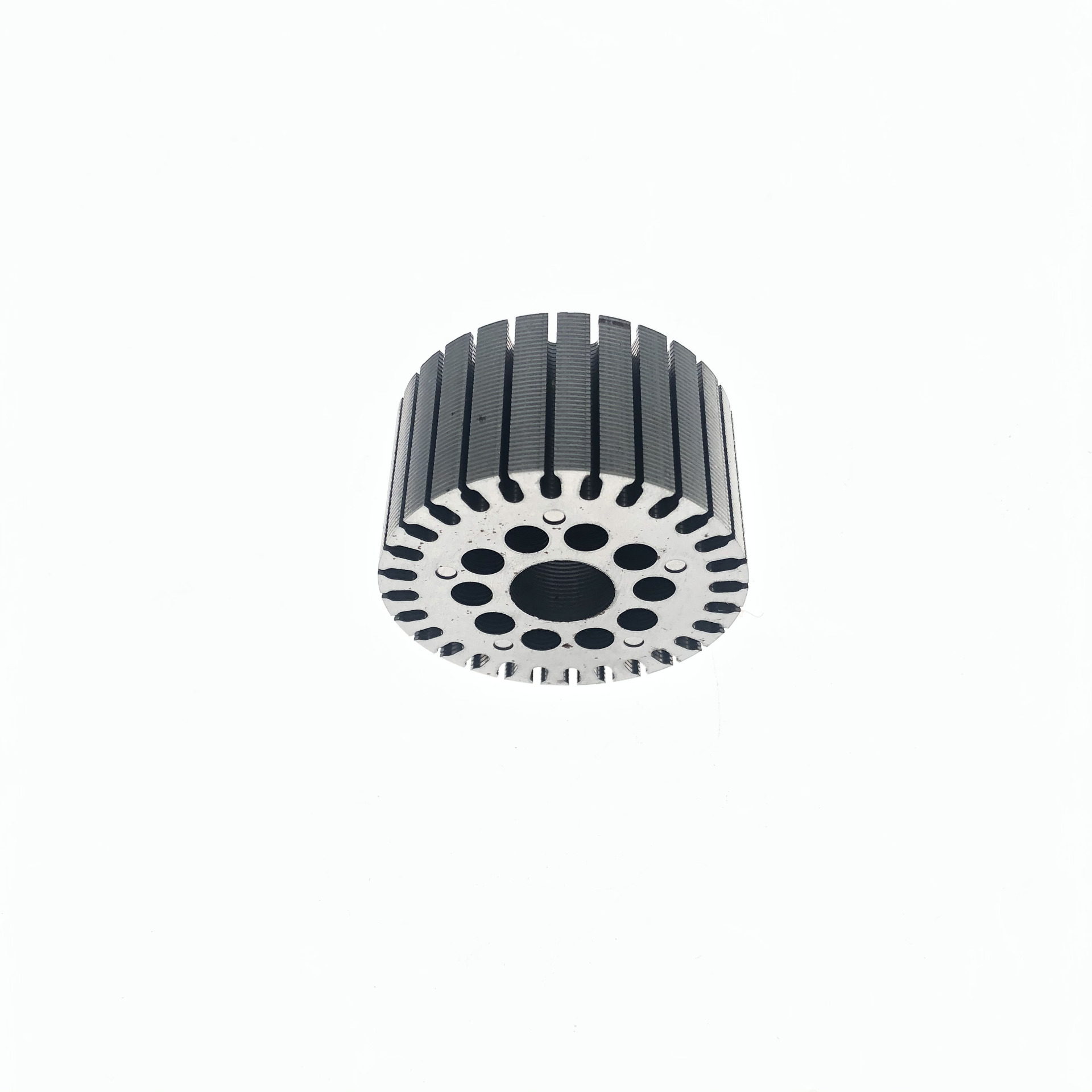 Automobile engine rotor