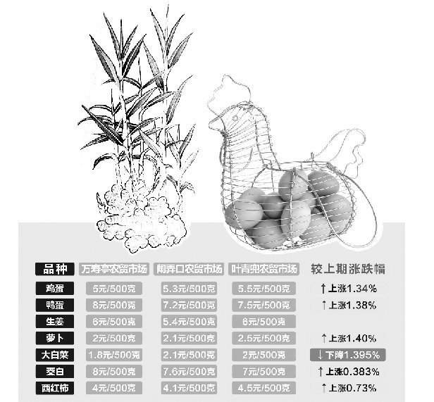 雞蛋又變“火箭蛋” 零售價蹭蹭往上爬已破“五”