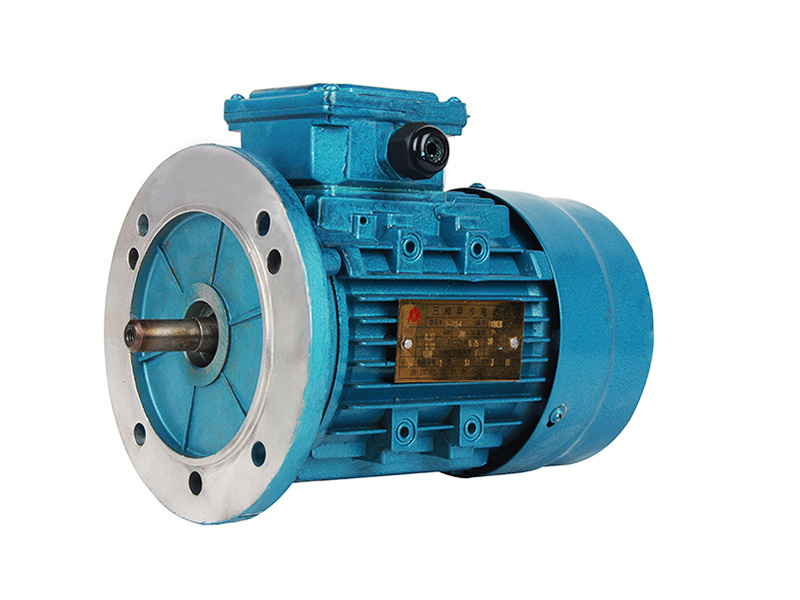 YE2 aluminum shell vertical three-phase motor