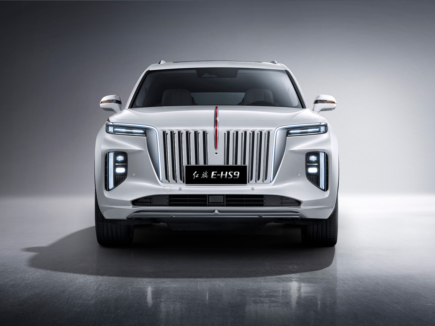 Hongqi E-HS9