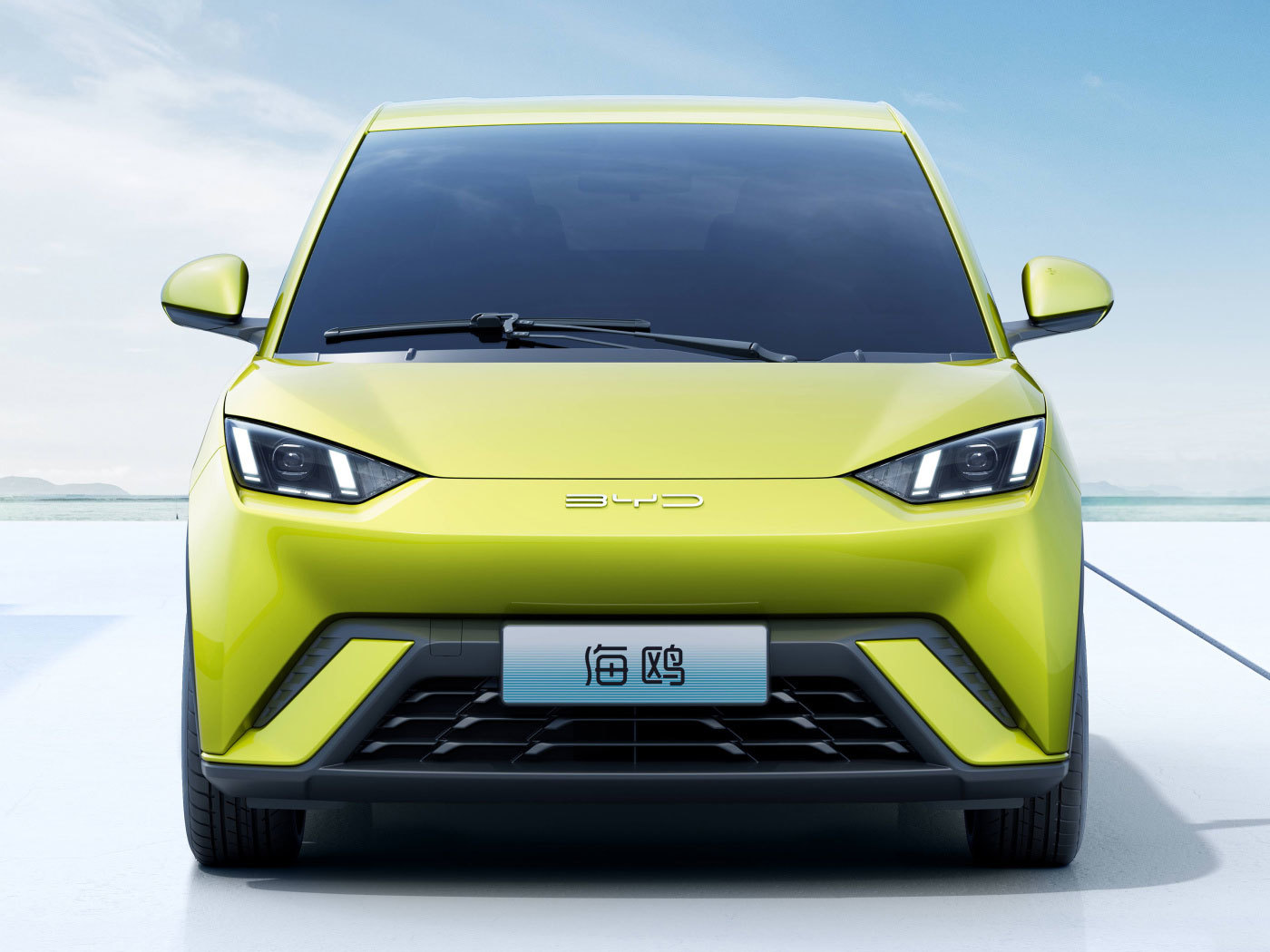 BYD seagull