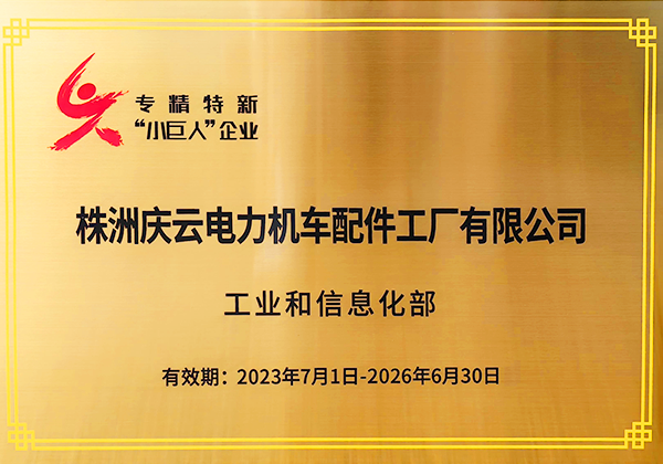 國家級“專精特新小巨人”企業(yè)