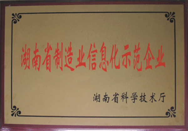湖南省制造業(yè)信息化示范企業(yè)
