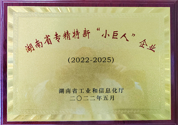 湖南省專精特新小巨人企業(yè)
