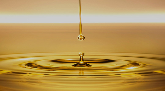  Edible oil series