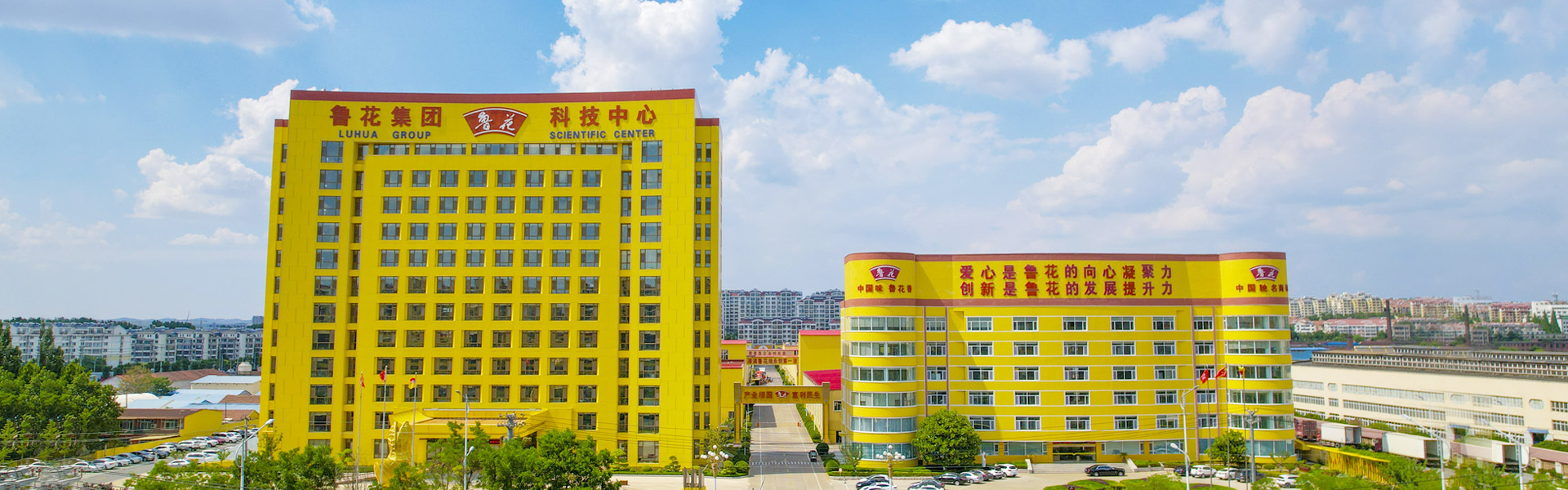 關(guān)于魯花