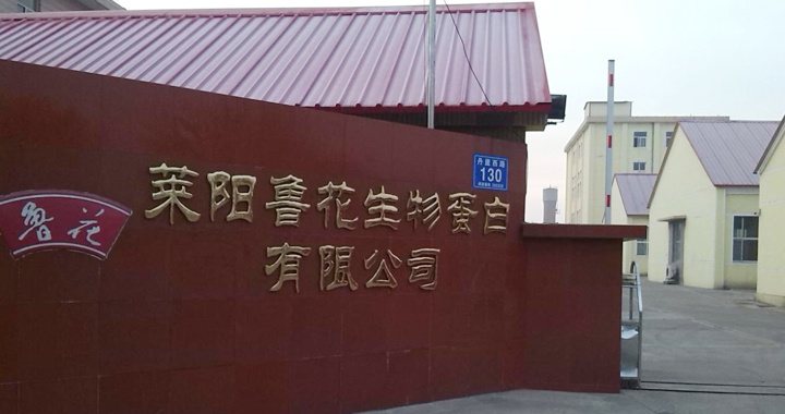 魯花生物蛋白
