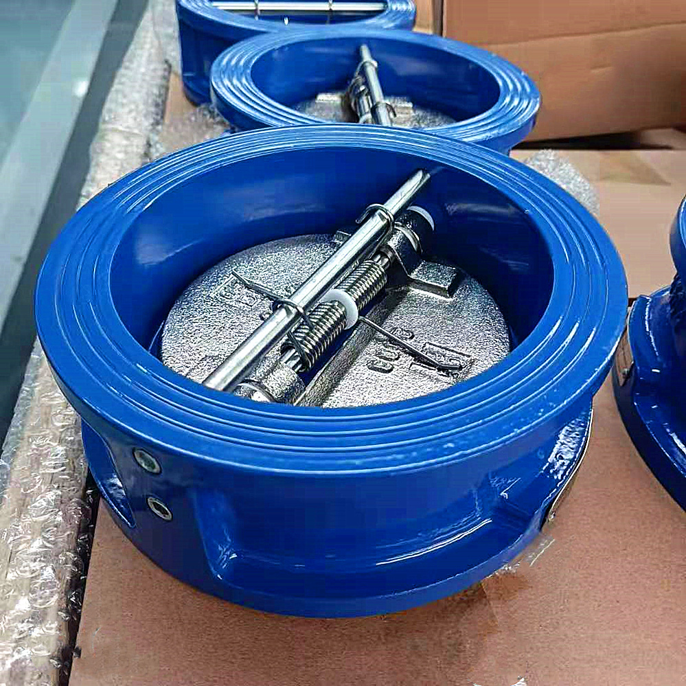 Check valve