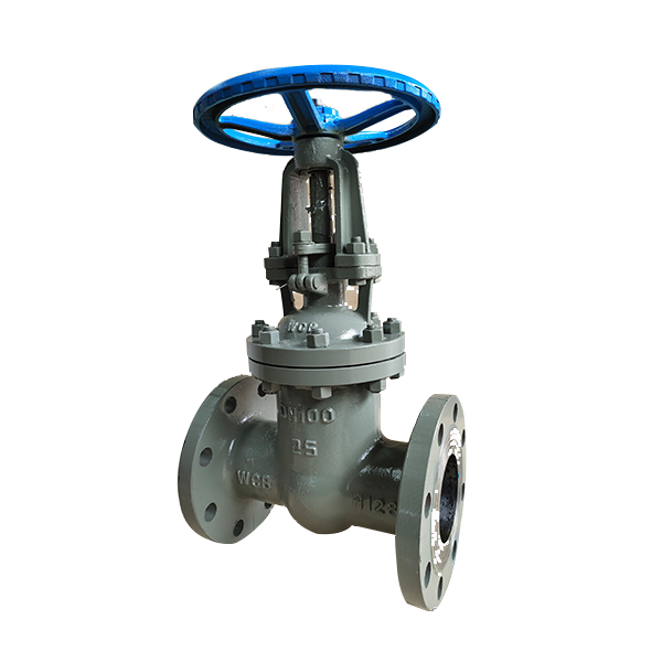 PN25 GOST GATE VALVE