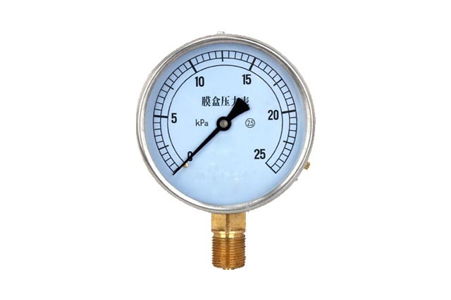 Bellicle pressure gauge 01