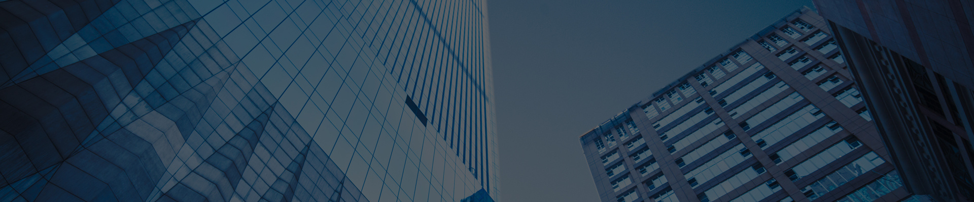 Company Profile