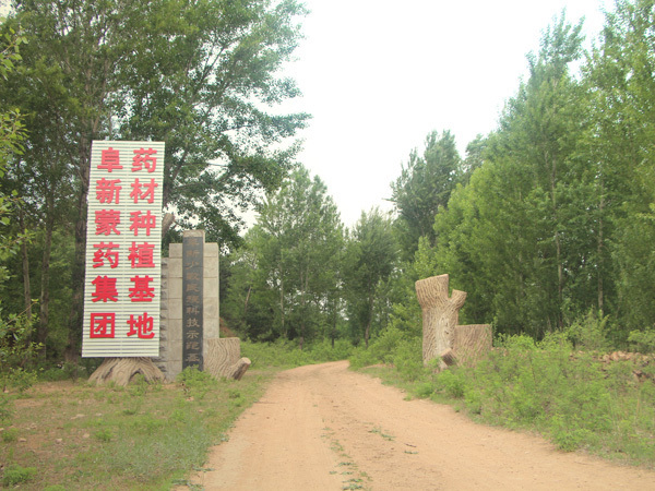 阜新蒙药有限责任公司药材种植基地