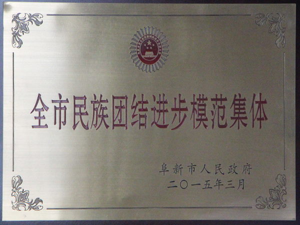 民族团结进步模范单位
