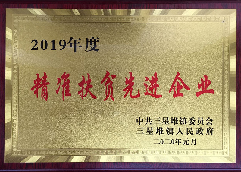 精准扶贫先进企业