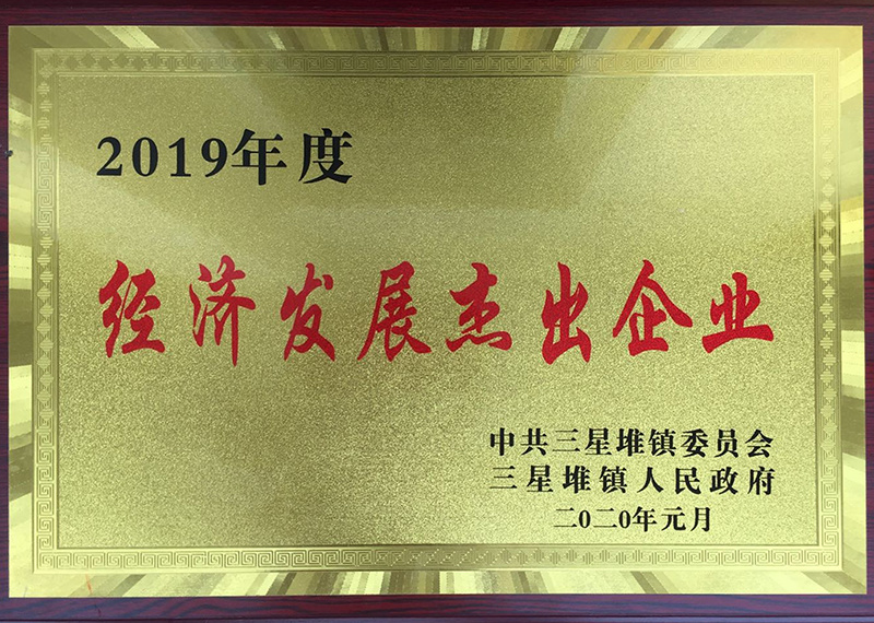 经济发展杰出企业