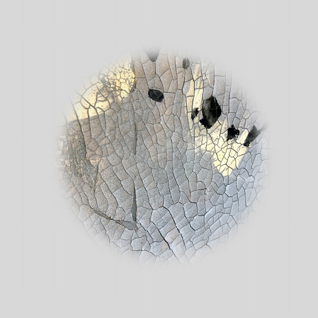 CZ001