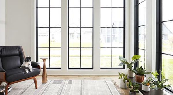 Door And Window