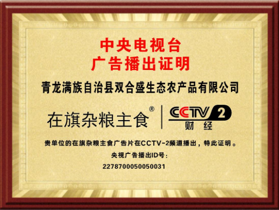 中央电视台广告播出证明CCTV2