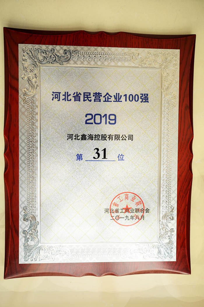 Hebei Xinhai Holdings ranks 31st in the 