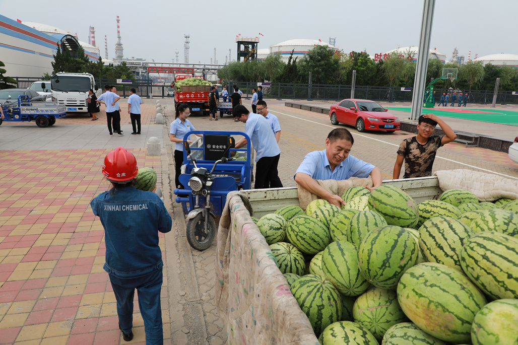 Watermelon cool summer hot weather condolences line