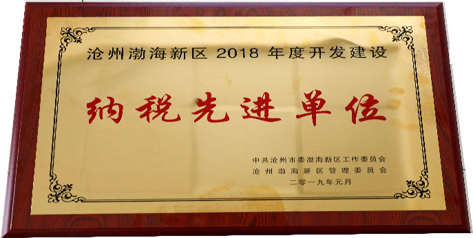 Hebei Xinhai Holding Co., Ltd. won the honorary title of 
