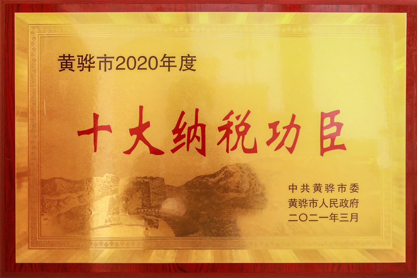 鑫海控股集团荣获黄骅市“十大纳税功臣”“市长特别奖”荣誉称号