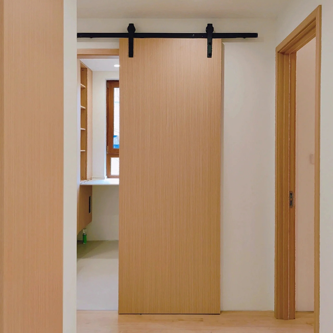 Sliding Door