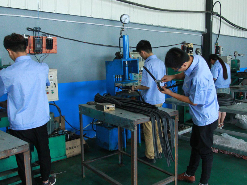 A Glimpse of the Plant